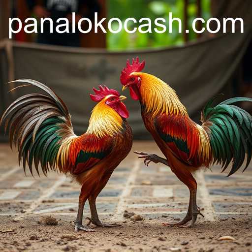 Exploring Cockfighting and Panaloko Cash: A Cultural and Economic Analysis